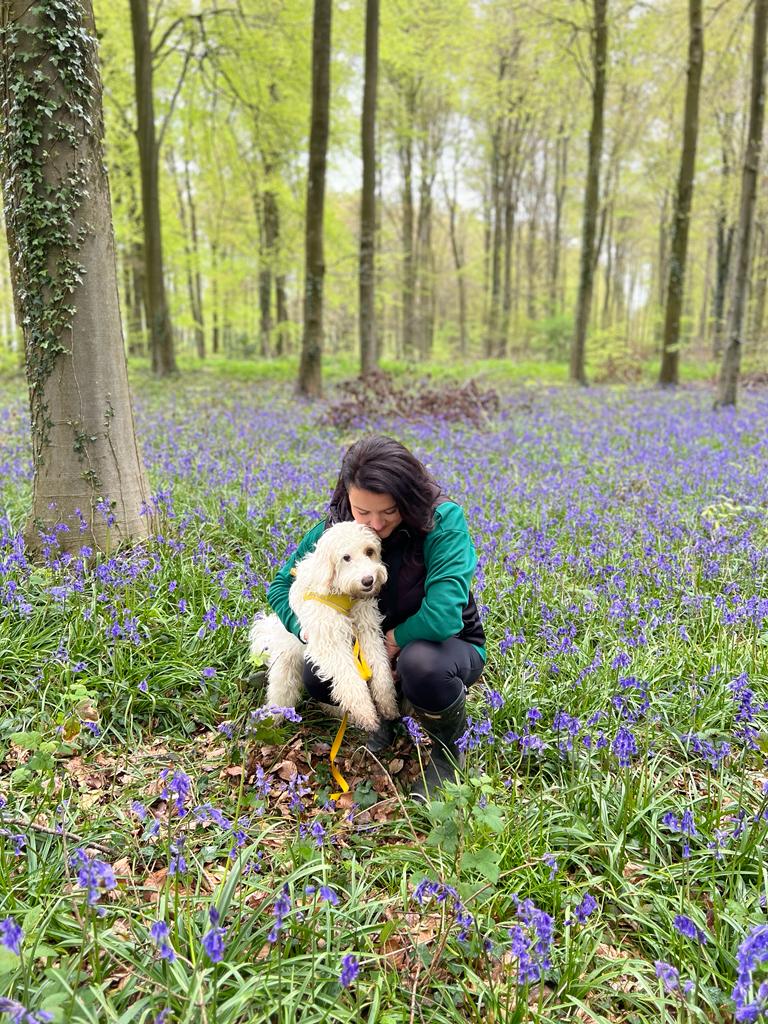 080d6e08-056d-46b9-bcde-9245a0158987 Rosebud Makeup Artist